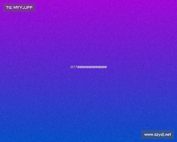 2017年中国国内赛车赛事激情速度巅峰对决全记录